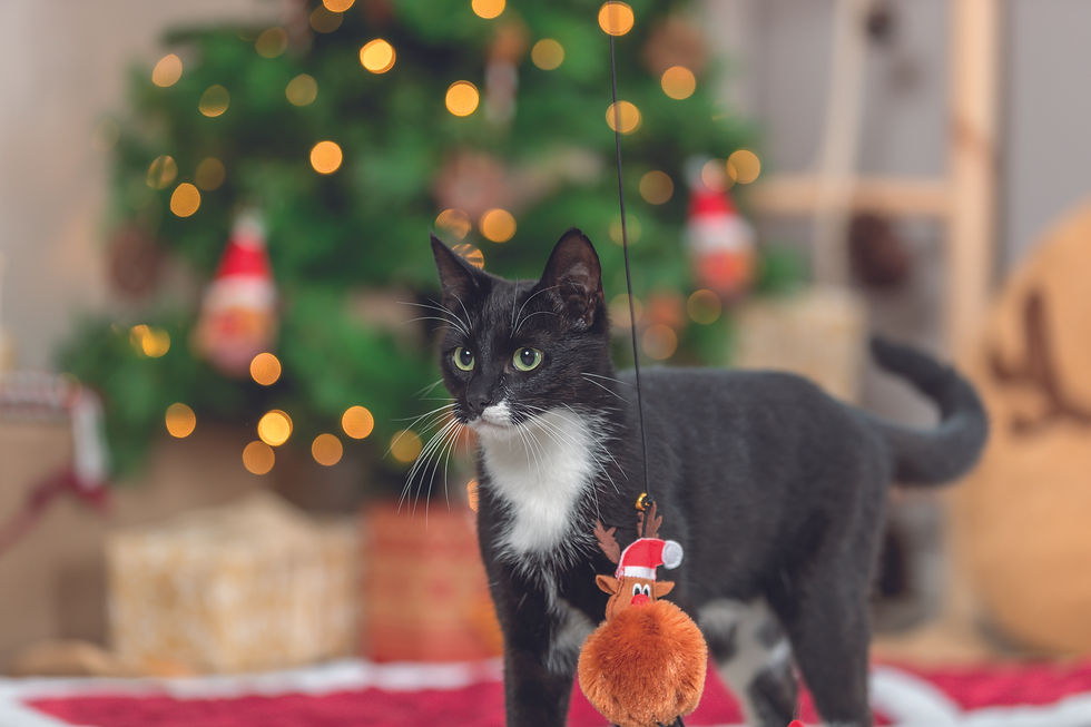 Іграшка для котів Trixie Паличка з різдвяним оленем пластик 45 см