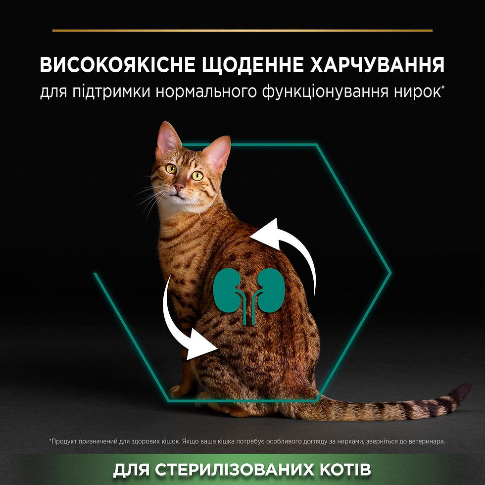 Прев'ю: Сухий корм PRO PLAN Sterilised Adult1+ Renal Plus для котів з індичкою 1.5 кг