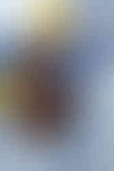 Романтическая прогулка на вертолете в Киеве 