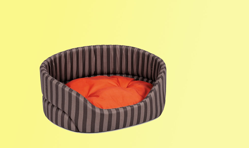 М'ЯКІ МІСЦЯ