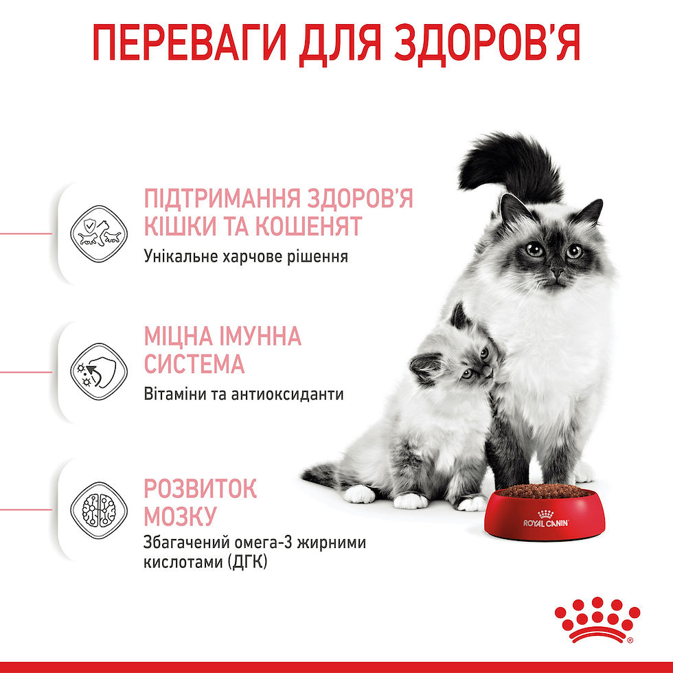 Прев'ю: Royal Canin Mother & Babycat сухий корм  для кошенят (від 1 до 4 місяців) 10 кг