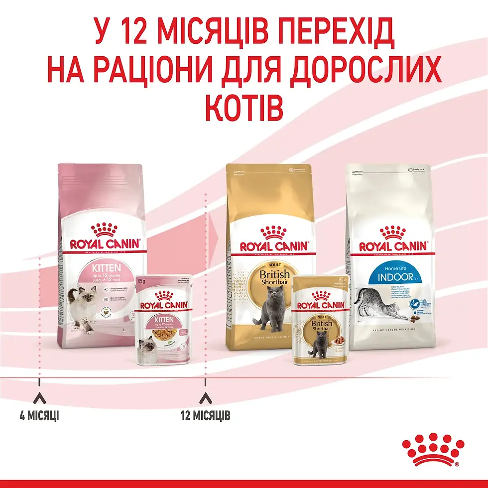 Прев'ю: Вологий корм для кошенят Royal Canin Kitten Gravy pouch 85 г (домашня птиця)