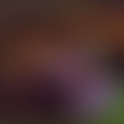 Красивая ночь