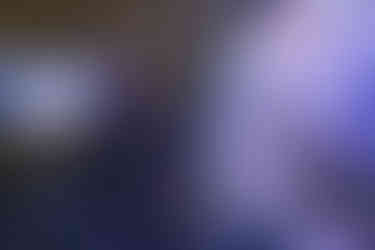 Романтический ужин в Киевском океанариуме 