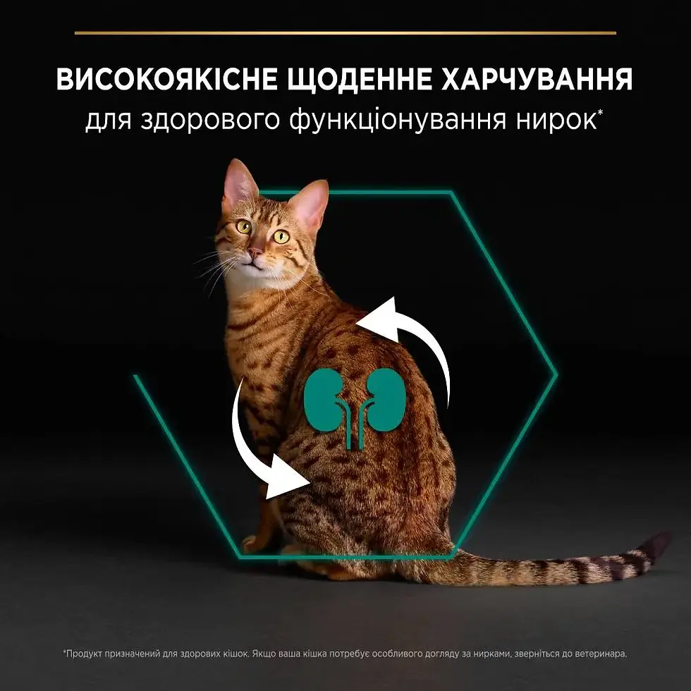 Прев'ю: Сухий корм PRO PLAN Adult 1+ Renal Plus для дорослих котів з куркою 14 кг