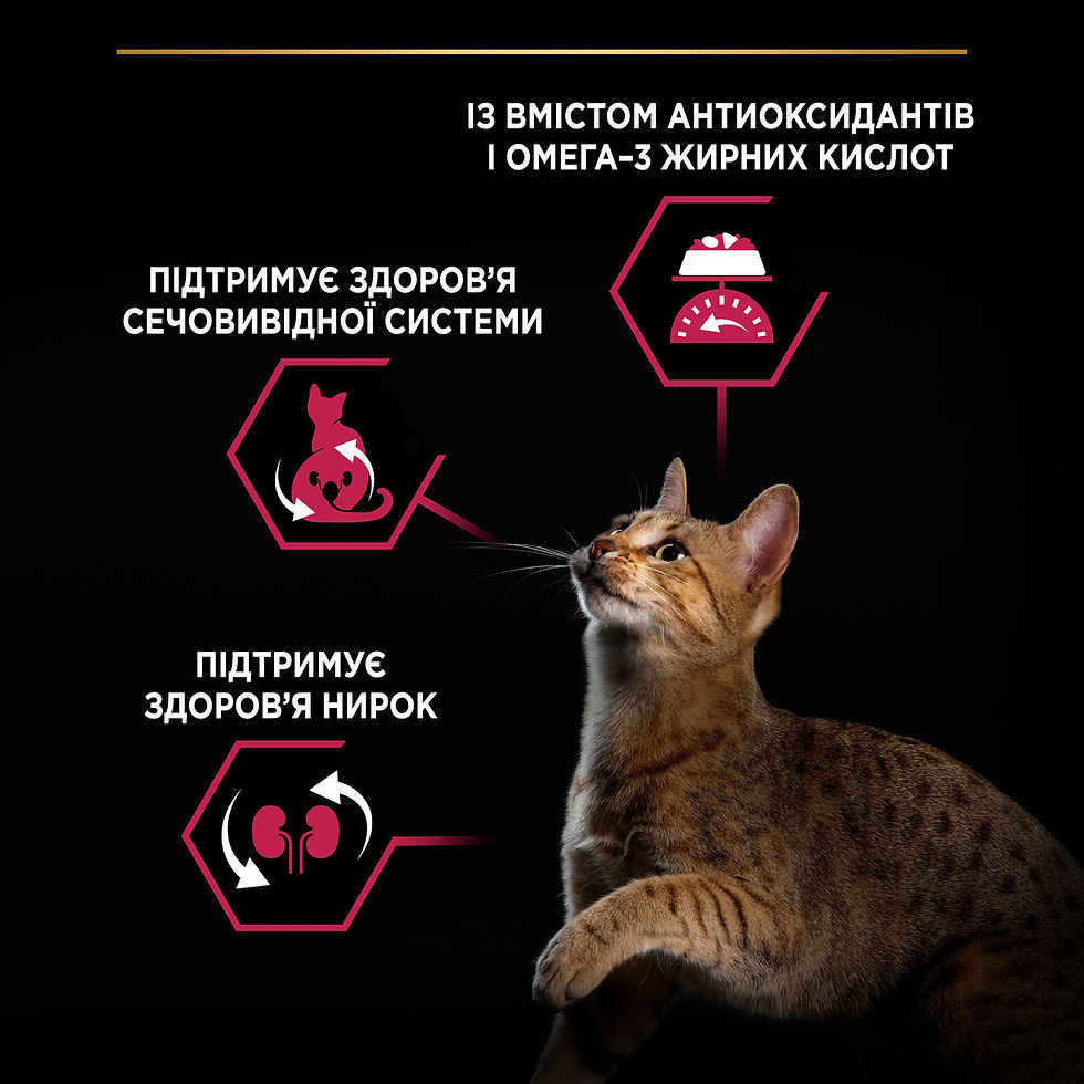 Прев'ю: Сухий корм PRO PLAN Sterilised Adult1+ Savoury Duo для котів,качка,печінка 1.5кг