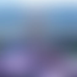 Свидание на крыше