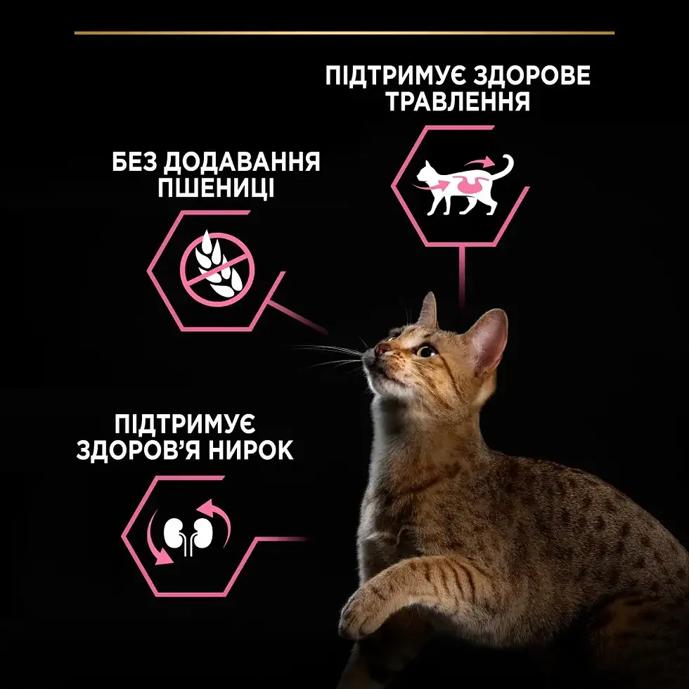 Прев'ю: Сухий корм PRO PLAN Adult 1+ Delicate Digestion для котів з ягням 3 кг
