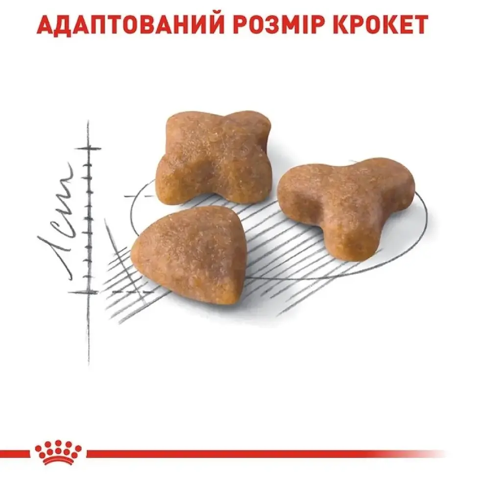 Прев'ю: Сухий корм для котів Royal Canin Sensible 33 4 кг - домашня птиця