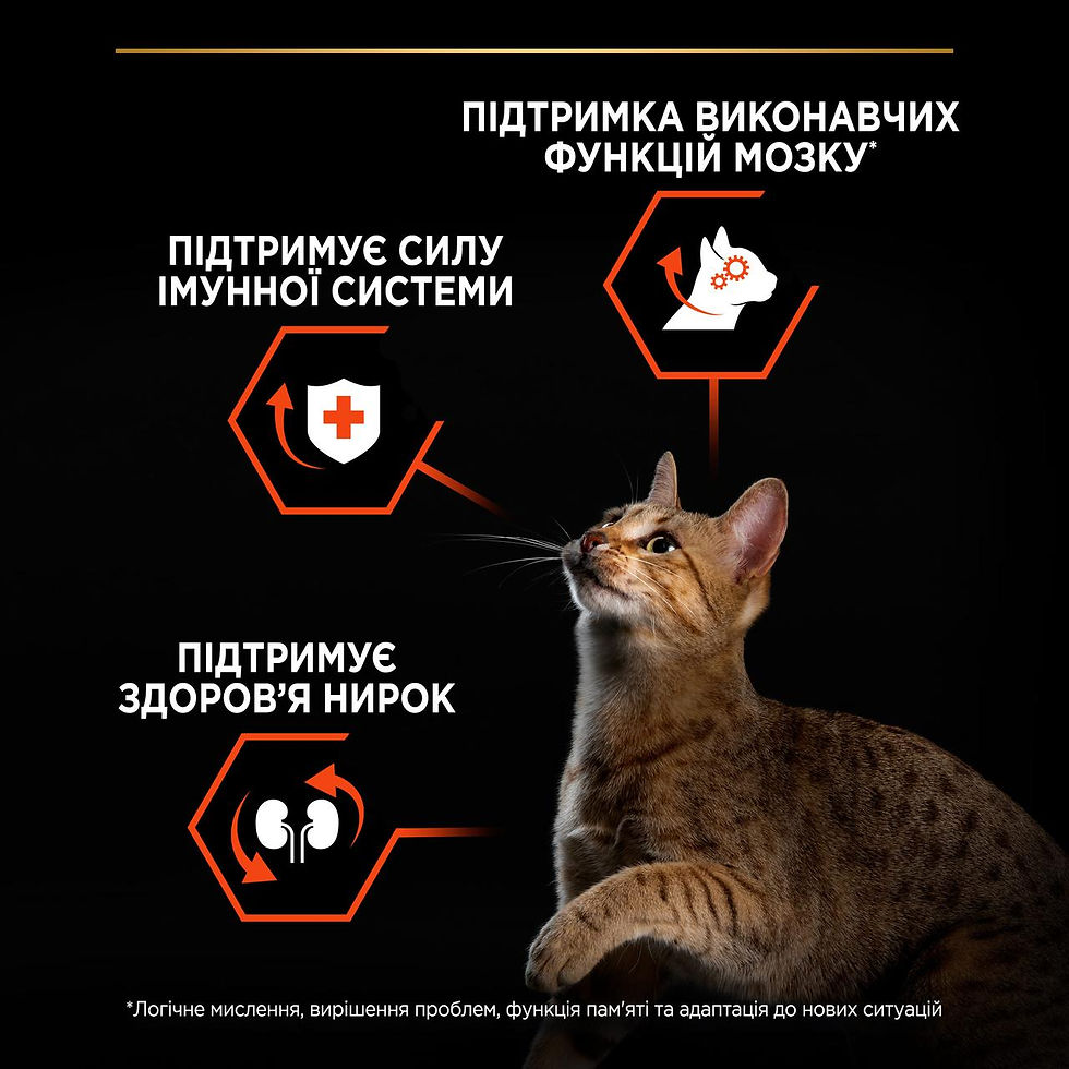 Прев'ю: Сухий корм PRO PLAN Sterilised Adult 1+ Vital Functions для котів з лососем 400г