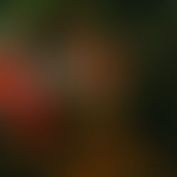 Романтика у Джунглях біля водоспаду