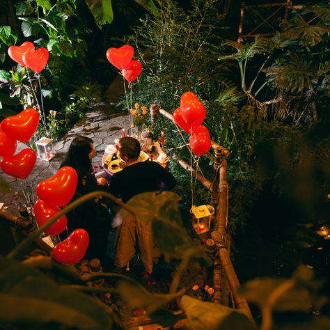 Романтика у Джунглях біля водоспаду