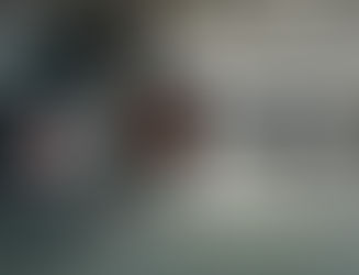 Conheça as famílias Land Rover