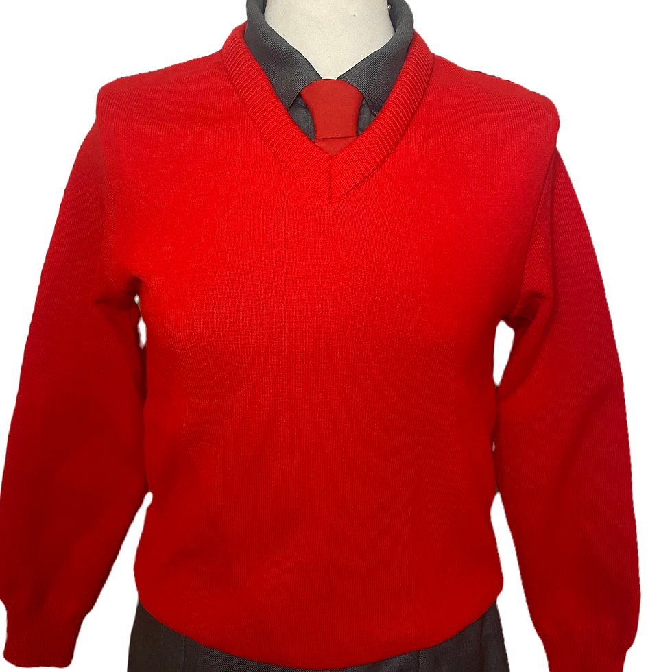 Red V Neck Jumper