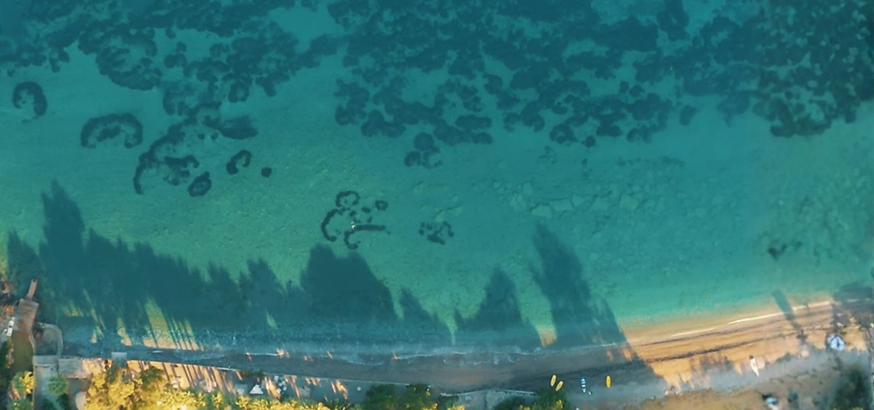 banner.png