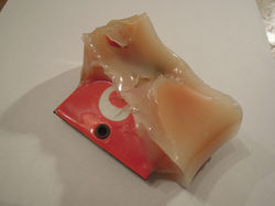 DSCN0496.JPG
