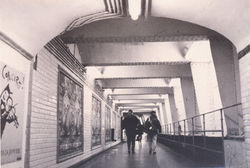 Unbenannt-16 Kopie.jpg