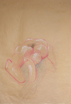 DSCN1398.JPG