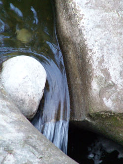 PICT0300.jpg