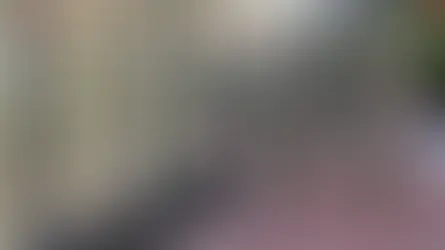 Trump amenaza con enviar tropas a Maryland y retirar fondos otorgados para un puente