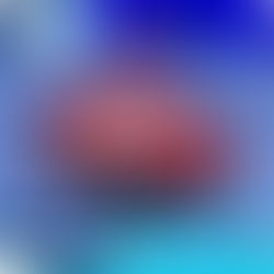 Wendy's planea cerrar cientos de locales en Estados Unidos y podría cerrar algunos aquí Minnesota