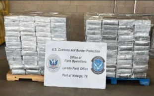 Hallan más de 23 millones de dólares en metanfetamina en un cargamento de papaya en Texas