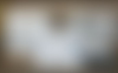 Hallan más de 23 millones de dólares en metanfetamina en un cargamento de papaya en Texas