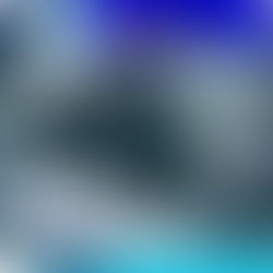 Decenas de autos vandalizados en Lowry Hill mientras aumentan los robos; los residentes exigen soluciones a las autoridades municipales.