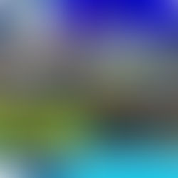 Conductor en auto robado terminó estrellado en letrero de ladrillo en Minnesota