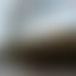 Hombre que presuntamente amenazó al Capitolio de Minnesota y a la Clínica Mayo tenía un arsenal de armas