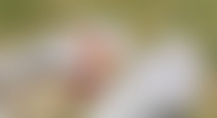 Minnesota comenzará a analizar la leche cruda de vaca para detectar la gripe aviar