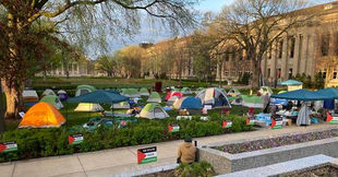 Manifestantes pro palestinos permanecen en la Universidad de Minnesota durante la noche, a pesar de la orden policial de dispersarse