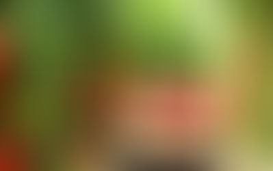 México rechaza decisión del gobierno de Trump de reactivar una cuota del 17 % al tomate, afectaría el bolsillo de los estadounidenses.