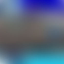 Escuela de Minneapolis pide ayuda para reconstruir su patio de receso tras ser vandalizad