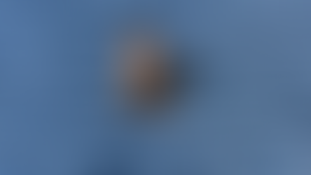 Después de 240 años, ÁGUILA de cola blanca REAPARECE durante PANDEMIA