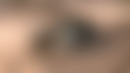 Mueren los 14 ocupantes del avión accidentado en el norte de México