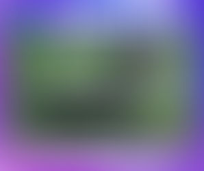 La junta de salud animal afirma que los zorrillos son los culpables del aumento de casos de rabia en Minnesota