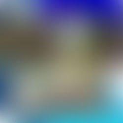 Serpientes venenosas y tarántulas incautadas durante una redada antidrogas en una casa de Minnesota