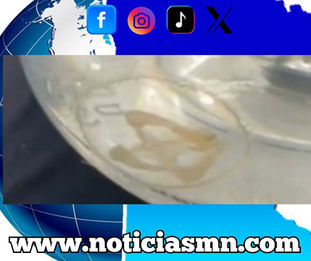 Encuentran medusas en un lago de Richfield, Minnesota