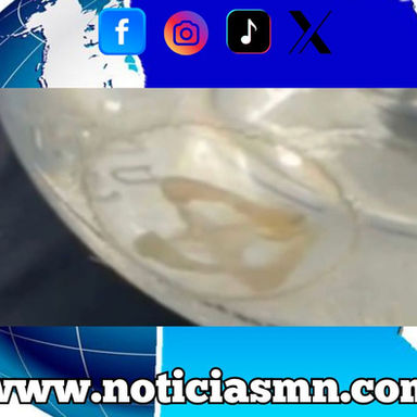 Encuentran medusas en un lago de Richfield, Minnesota