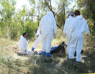 EnMéxico hallan al menos 20 narcofosas en menos de una semana