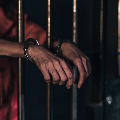 Hombre sentenciado por traficar fentanilo en animalitos de peluche en Minnesota