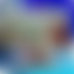 Mall of America nombrado el segundo mejor centro comercial de EE.UU.