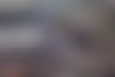 La unidad K-9 de Minnesota se dirige al condado de Kerr, Texas, para ayudar en los esfuerzos de recuperación tras las inundaciones, dice el gobernador Walz.