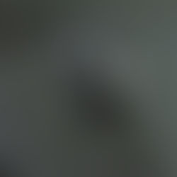 Mujer que llevaba 26 celulares pegados al cuerpo muere en camión