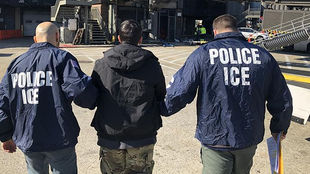 Casi 75.000 personas sin antecedentes penales fueron detenidas por ICE en la nación, muestran nuevos datos
