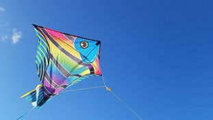 Niño muere electrocutado con un papalote, se enredó en los cables de alta tensión