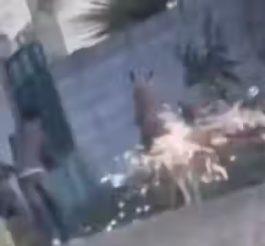 México: jovenes utilizan pirotecnia en un burrito tendrán consecuencias (VÍDEO)