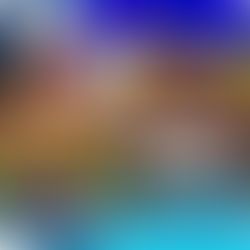 Hoy es Día Mundial de la Fotografía, Día Mundial del Orangután y más efemérides