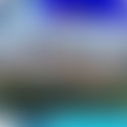 Líderes y residentes de St. Paul se unen para rechazar los panfletos de odio encontrados en la comunidad